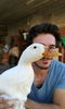 Emre