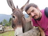 Enrico