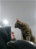 Tom