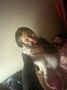 Daira