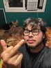 Josue