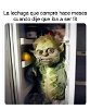 Samuel
