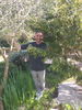 David