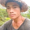 Phong