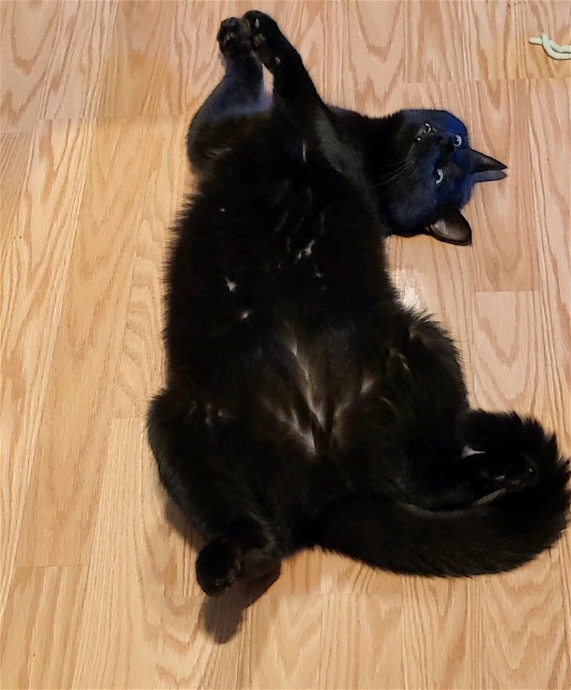 He likes to make strange poses