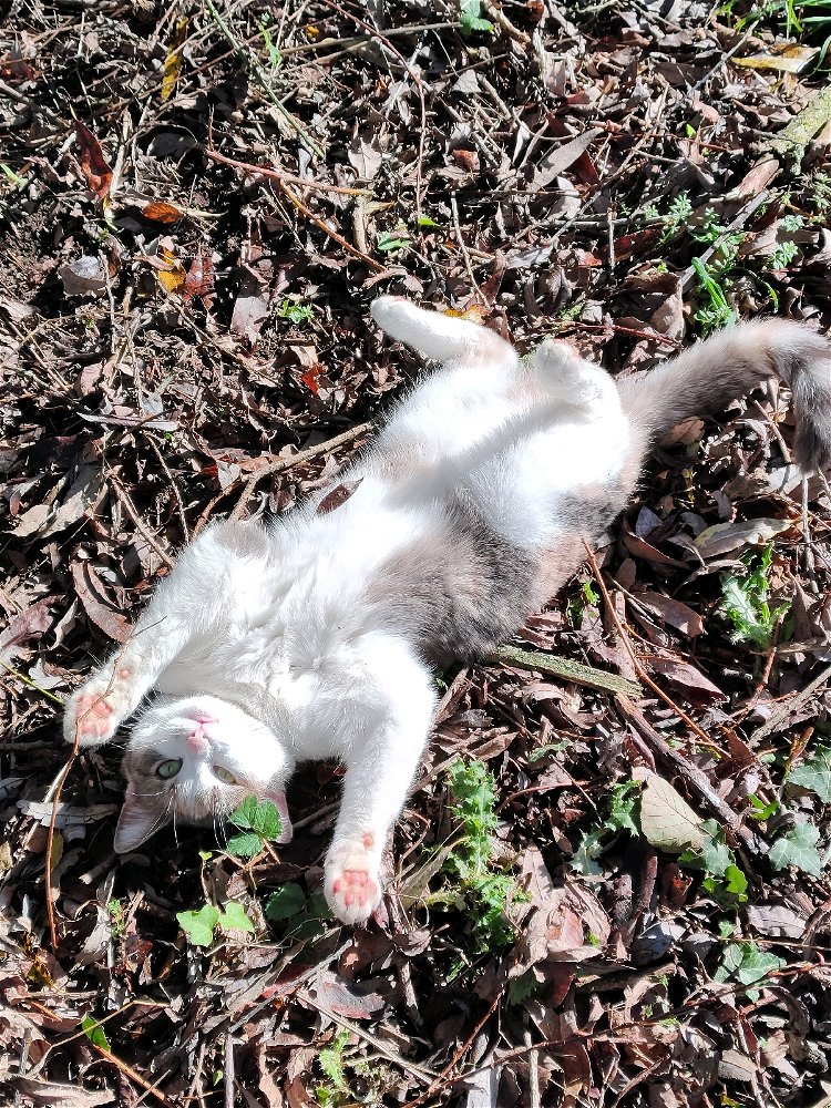 Ma crottoune bien sûr 😁