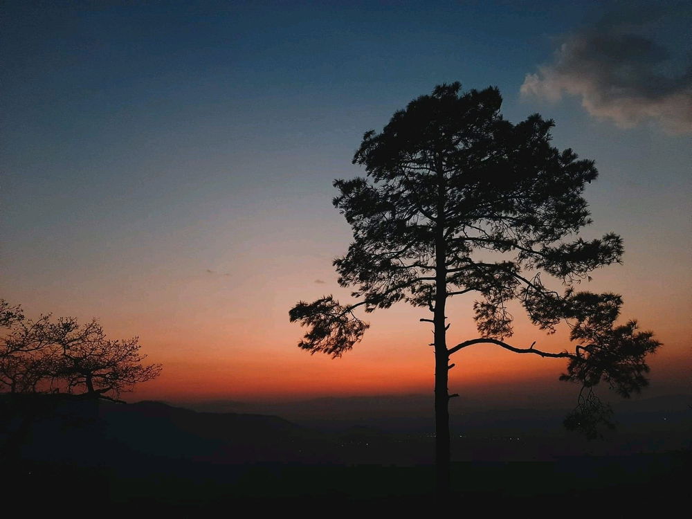 Solo para ver otro amanecer🦍