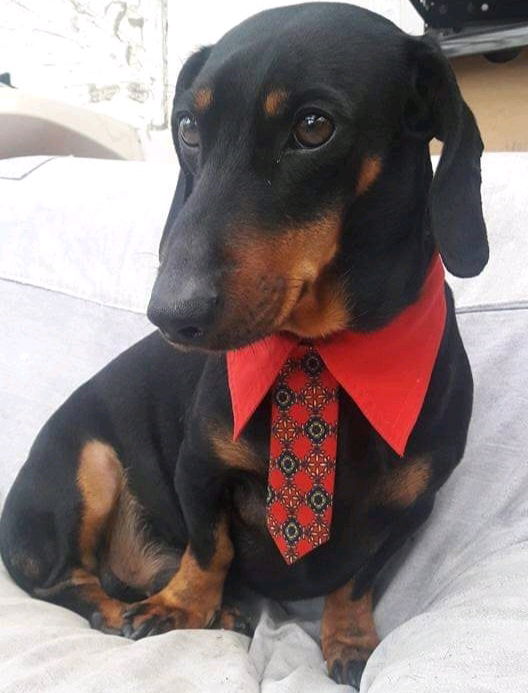 Bruno