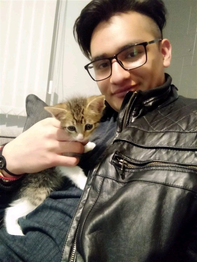 Un gato encontrado que al final tuve que darlo en adopción vaya tiempo cuando no me quitaba las garritas de encima 🥺😅