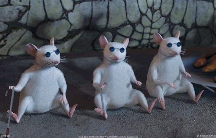 Las ratas ciegas de shreek