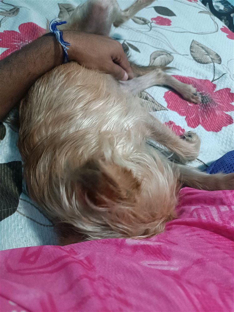 Aproveito a companhia dele♥️