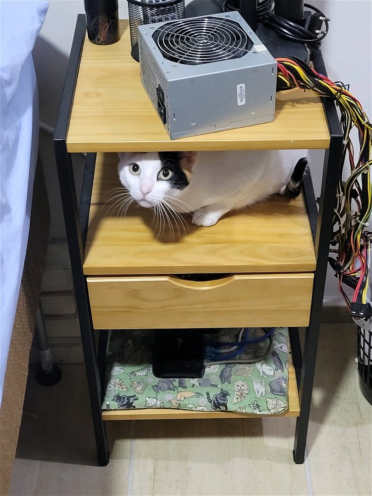 Não seria "o quê" mas "quem"
Esse serumaninho felino...