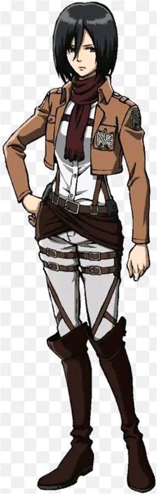 Mikasa?

Ten obrázek je hodně na vejšku, tak ho to divně ořízlo 😅