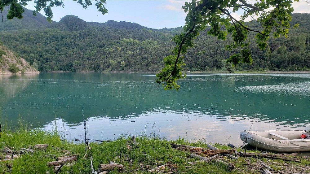 Dans mon trafic aménagé au bord d'un lac entrain de pêcher la carpe