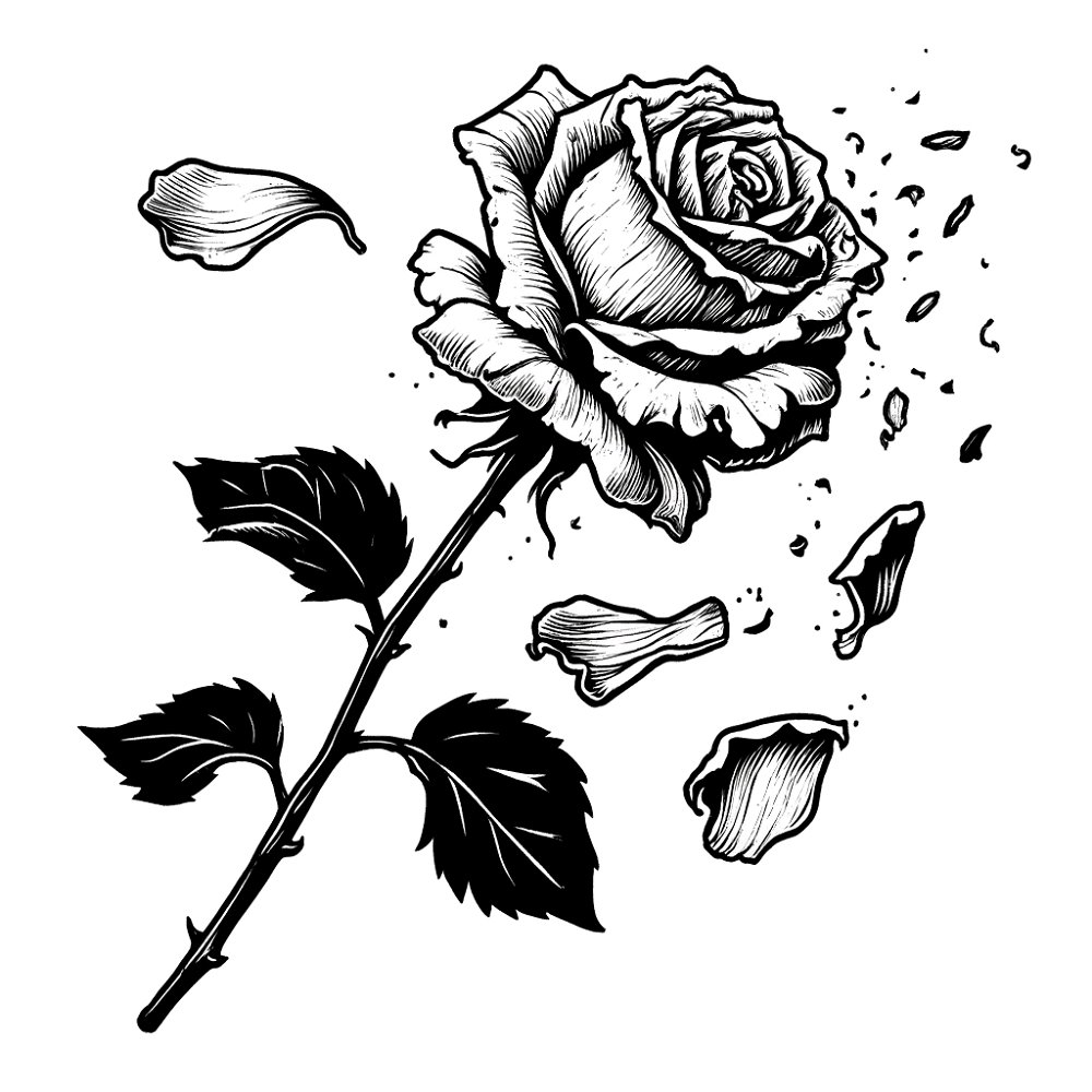 This the kinda flower I feel like ☠️