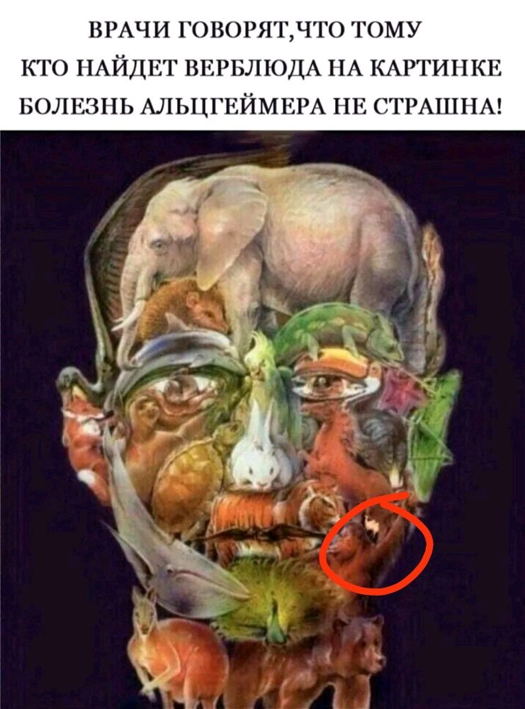 Вот он