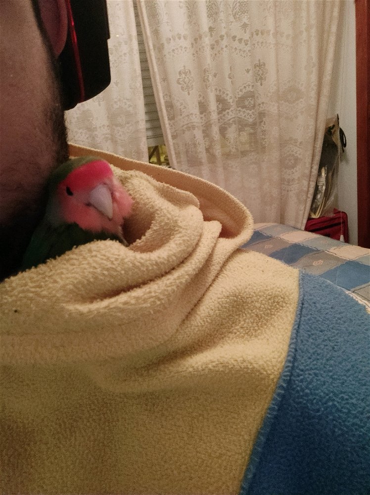 Son lo mejor