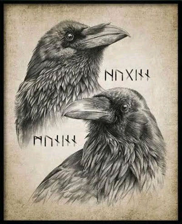 De raaf, vanwege de Noorse Mythologie