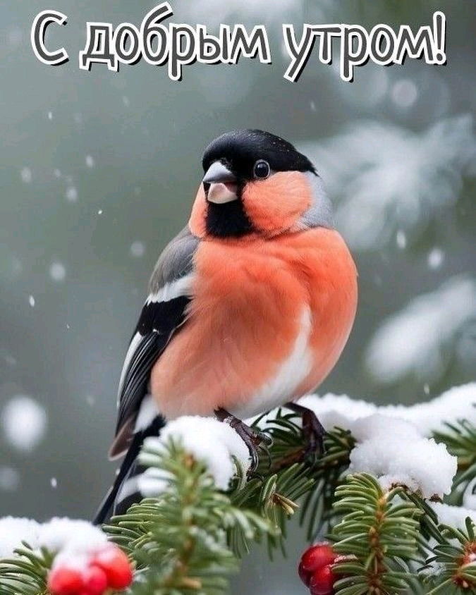 Доброе утро!)☕️🍩