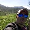 Kopi Pait