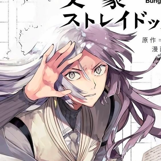 Sigma (Bungou Stray Dogs): Biografi | Boo