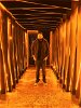 Yogesh Goliya