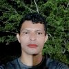 Davi