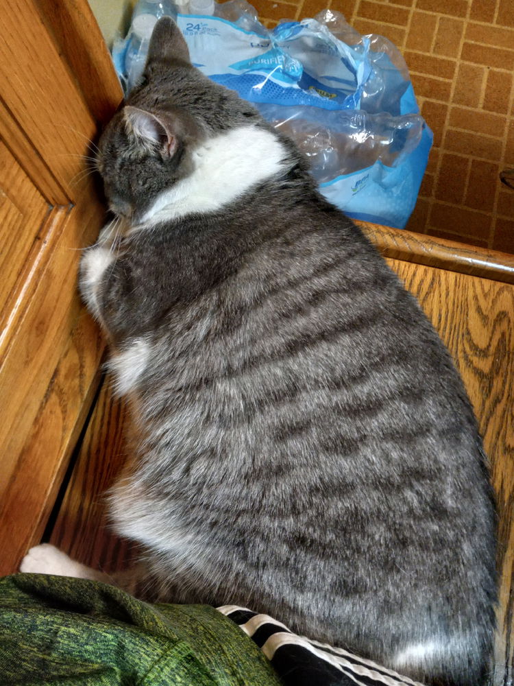 She insisted on staying with me while I was painting