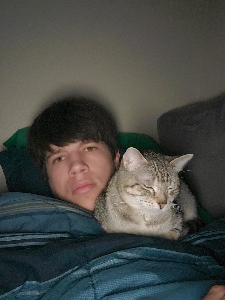 This cat