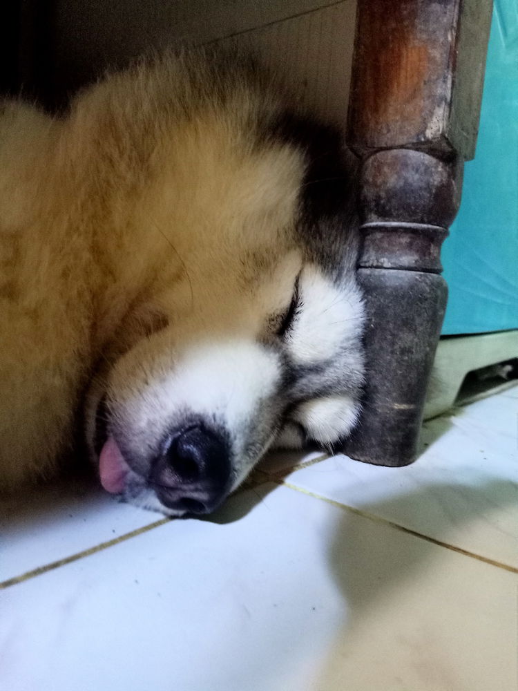 Comfortable
