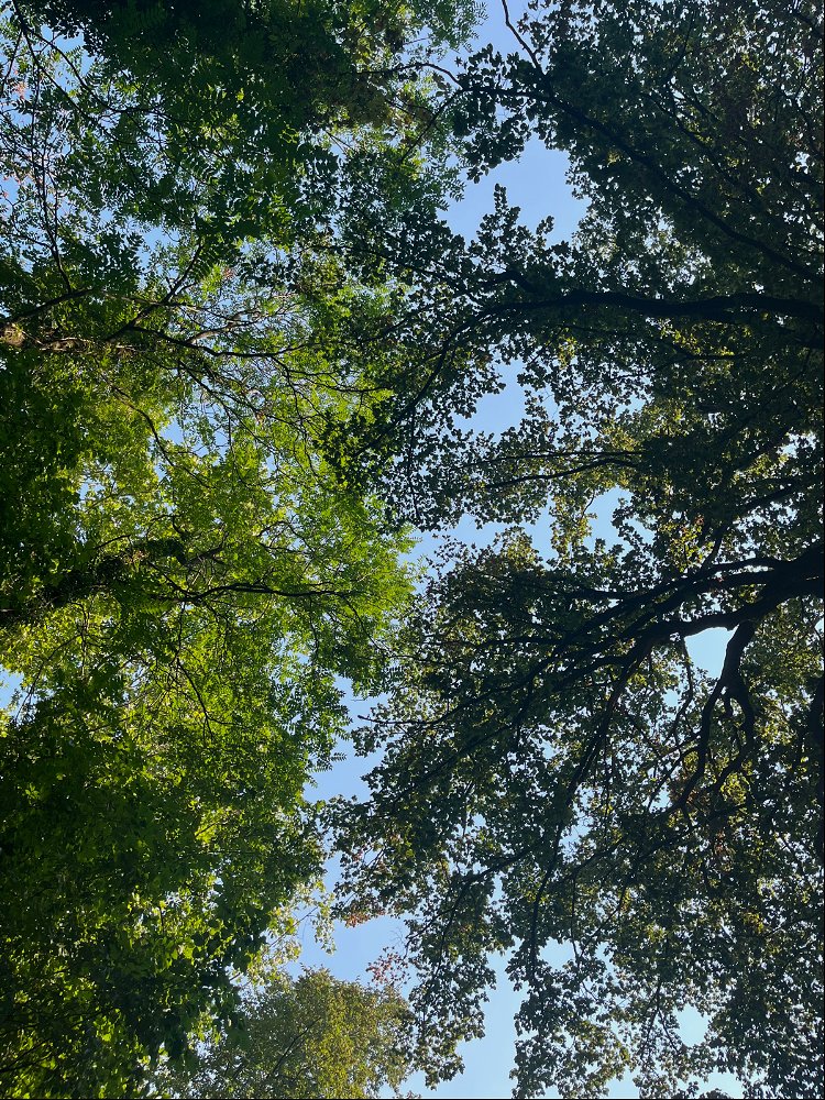 Our real habitat