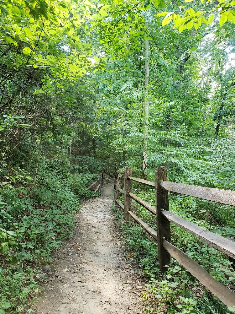 I absolutely love spending time in nature. It makes me feel peaceful