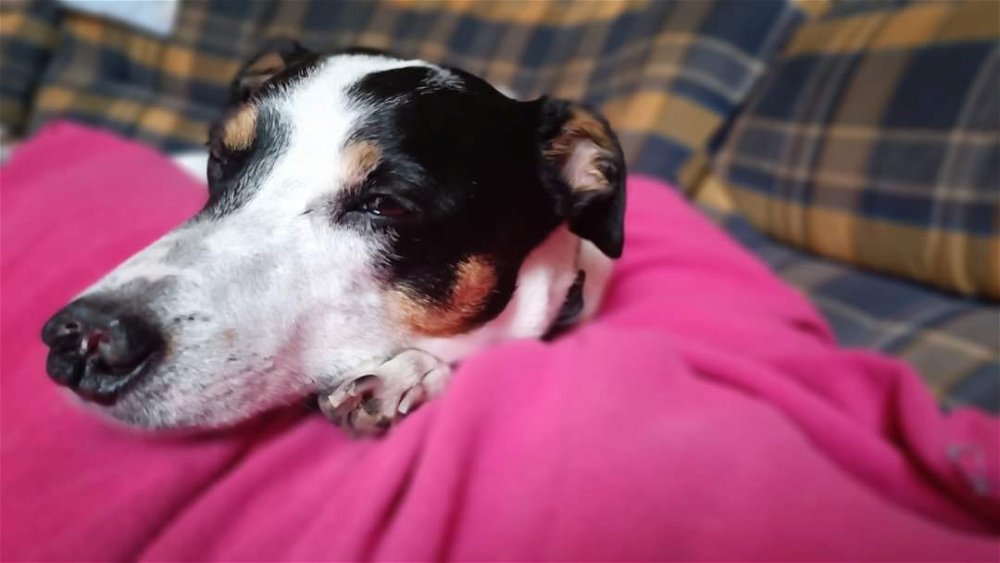 Sleeping Beauty