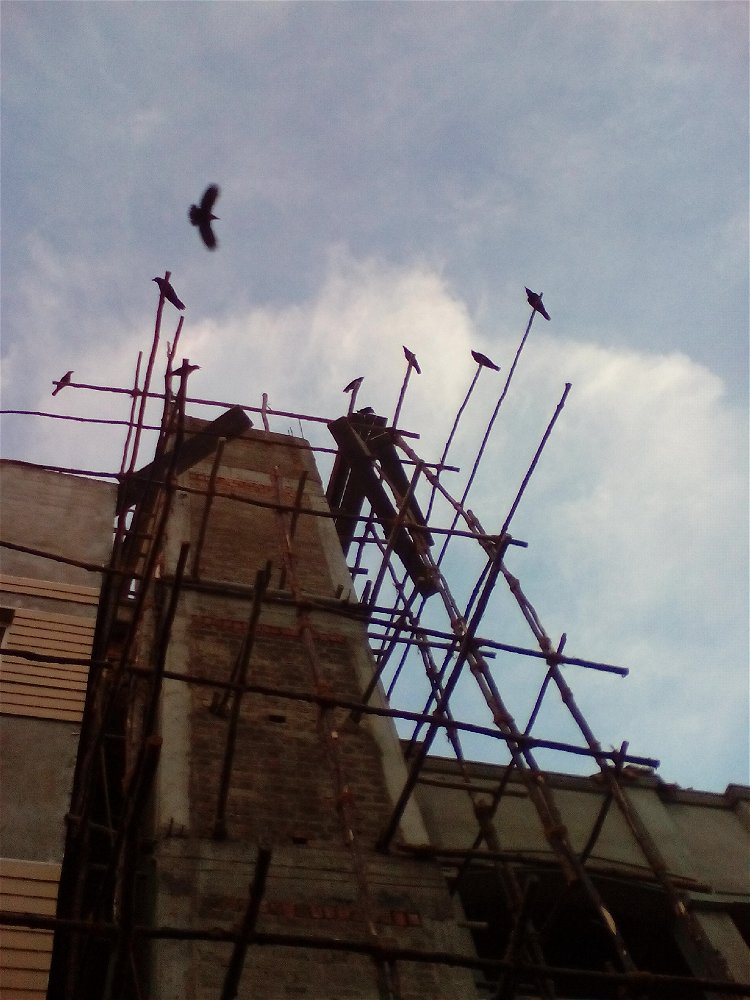 My Capture