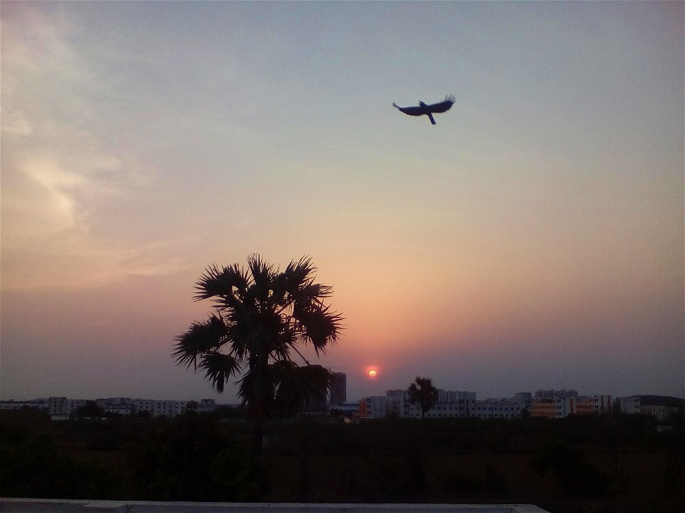 Mobile photography