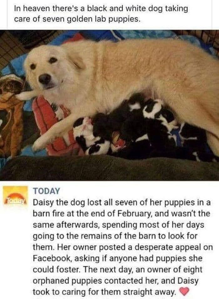 🥺🥺🥺🥺🥺