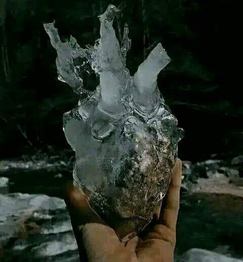 An INTJ's heart