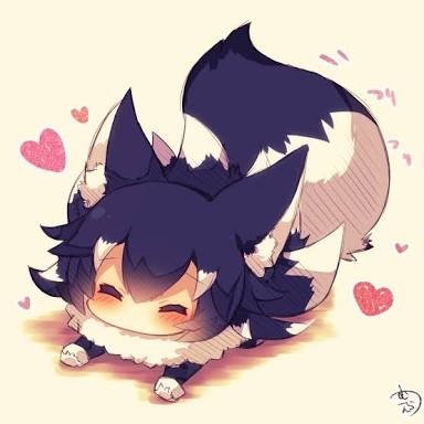Animales favoritos