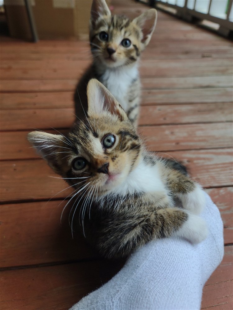 Babies 🥰