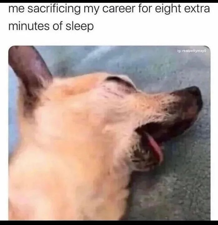 Show me your meme(s)