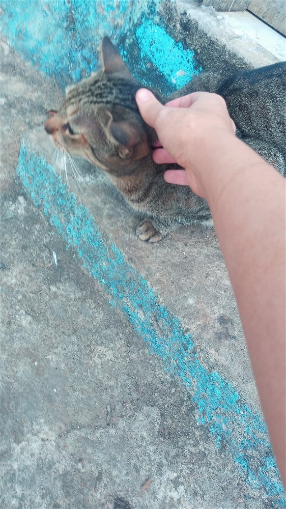 ...