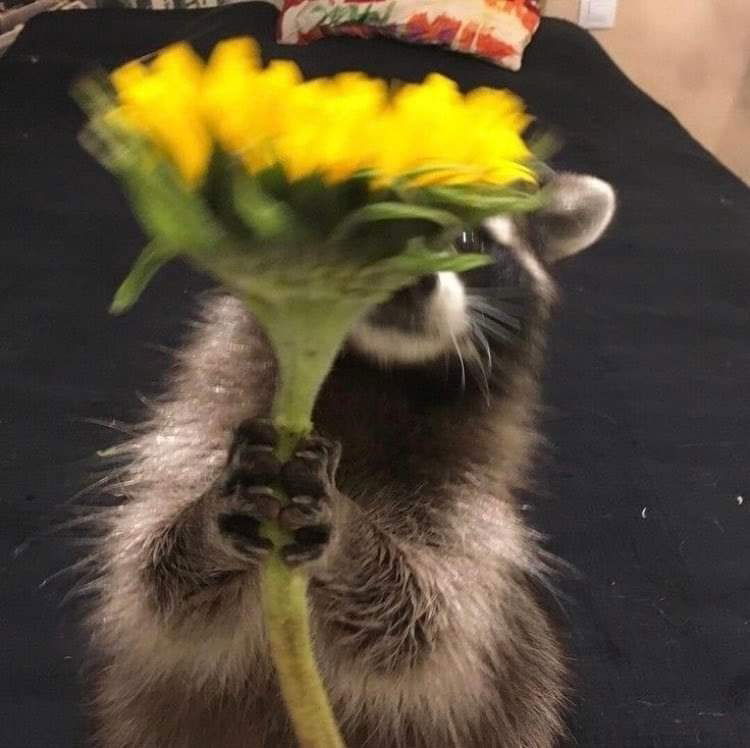 :)