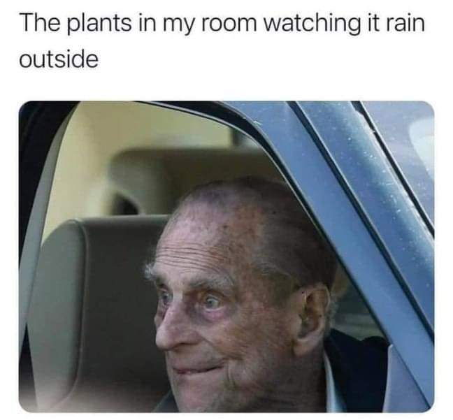 Random memes 17