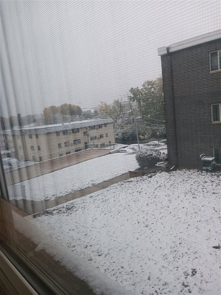 & the first catch of snow begins...