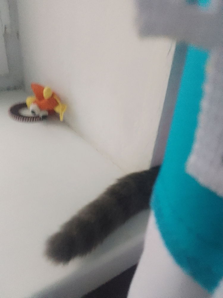 Чел...