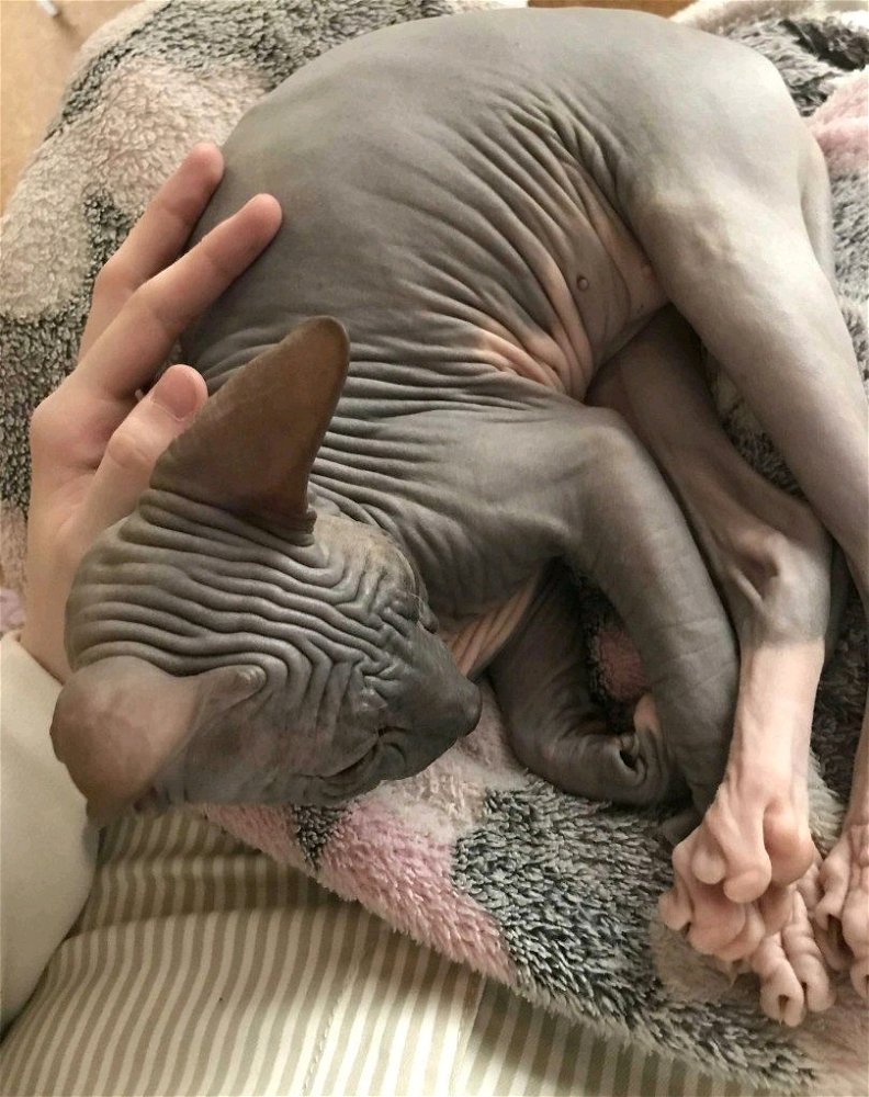 у меня появилась малышка 🥳💗
