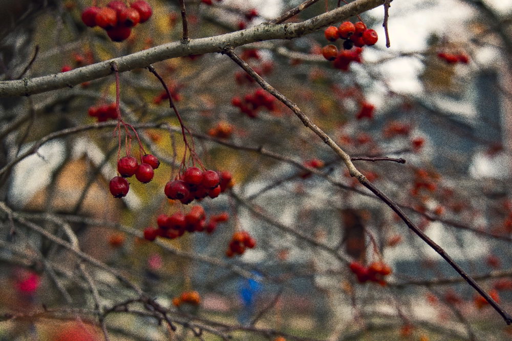 Фото.