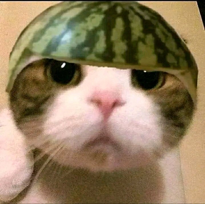 Gatau