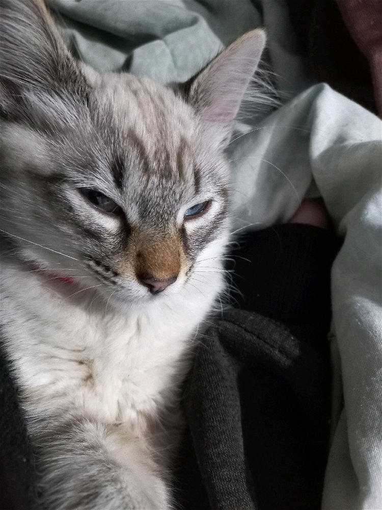 Claro que o primeiro post teria que ser sobre meu baby kkkk