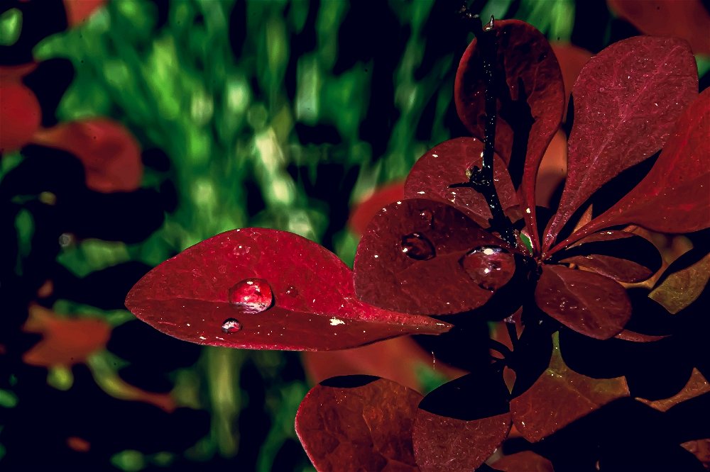 Фото.
